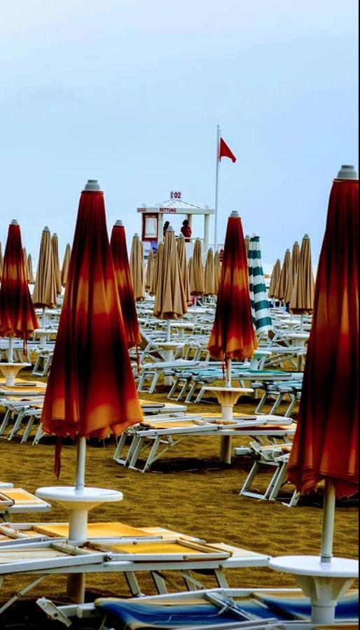 Hotel D'Annunzio 利多迪迪耶索洛 外观 照片
